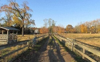 Howdy Lincoln, nice farm. Need a trash Dumpster? Same Day Dumpster Rental Delivery for Lincoln Massachusetts. Quick Disposal services Middlesex and Essex counties in Massachusetts. Same day service in most areas, call us today 781-246-2090 or visit quickdisposal.com 10 yard to 25 yard #Dumpsters #DumpsterRental #Demolition #RollOffs #Lincoln #Massachusetts #RollOffs #Trash #MoveOut #Cleanup