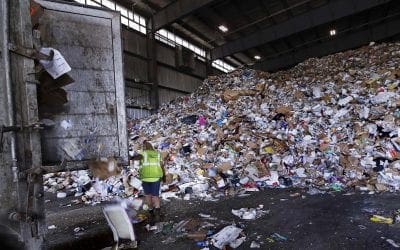 Danvers MA recycling program to crack down on “contamination” – Danvers Herald