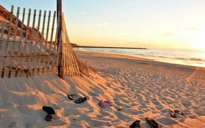 Late summer is beautiful in New England but soon we’ll have to leave the flip-flops behind and think about our fall clean-ups! Let Quick Disposal help take the load off your fall cleaning plans by scheduling a roll-off dumpster rental today.