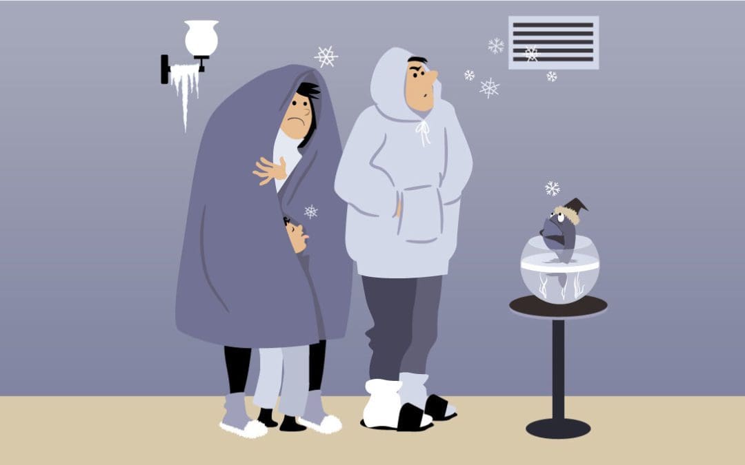 Brr, it’s cold outside! As we settle into the frigid temperatures of mid-winter, frozen and burst water pipes become an unfortunate reality for many property owners.
